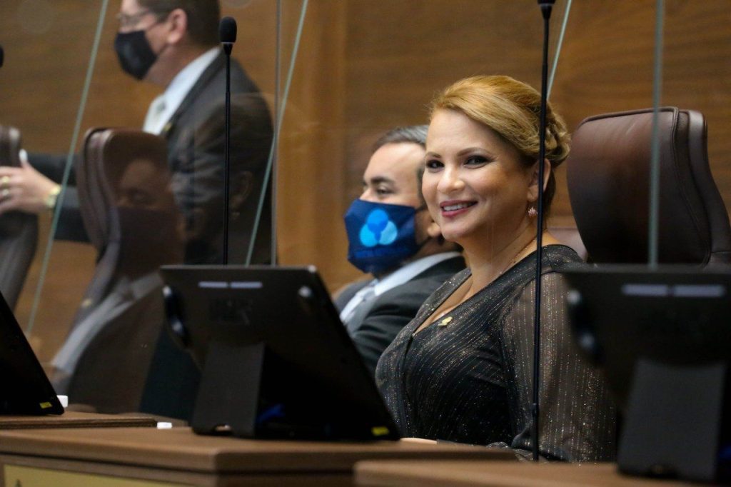 Carmen Chan Lo responsable es decirle NO al actual proyecto de tren electrico