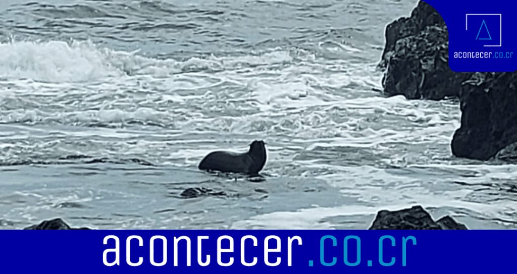 Anadir un subtitulo 2022 06 13T135516.670 1024x543 1