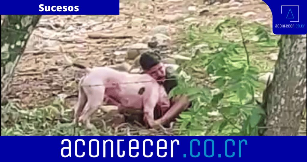 Anadir un subtitulo 2022 09 05T171207.616 1024x543 1