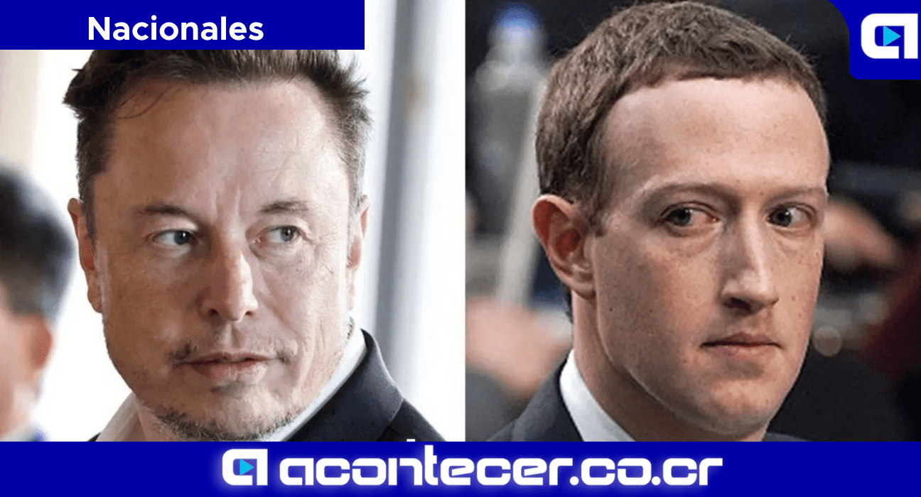 Musk vs Zuckerberg X Transmitir en vivo