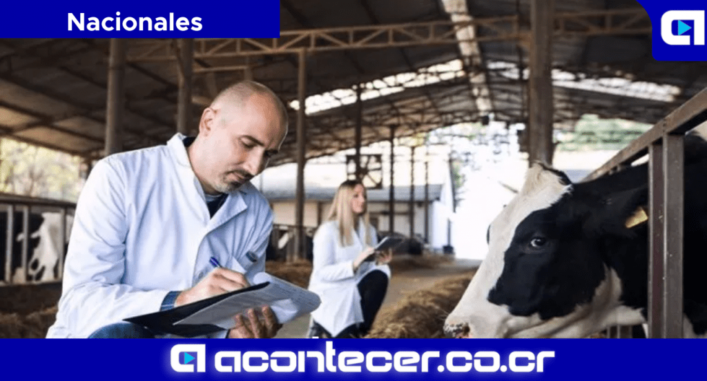 Veterinarios Terminan Acuerdo con SENASA debido a Polémico Decreto Propuesto por el Gobierno Actual 1 SENASA Colegio de veterinarios Costa Rica