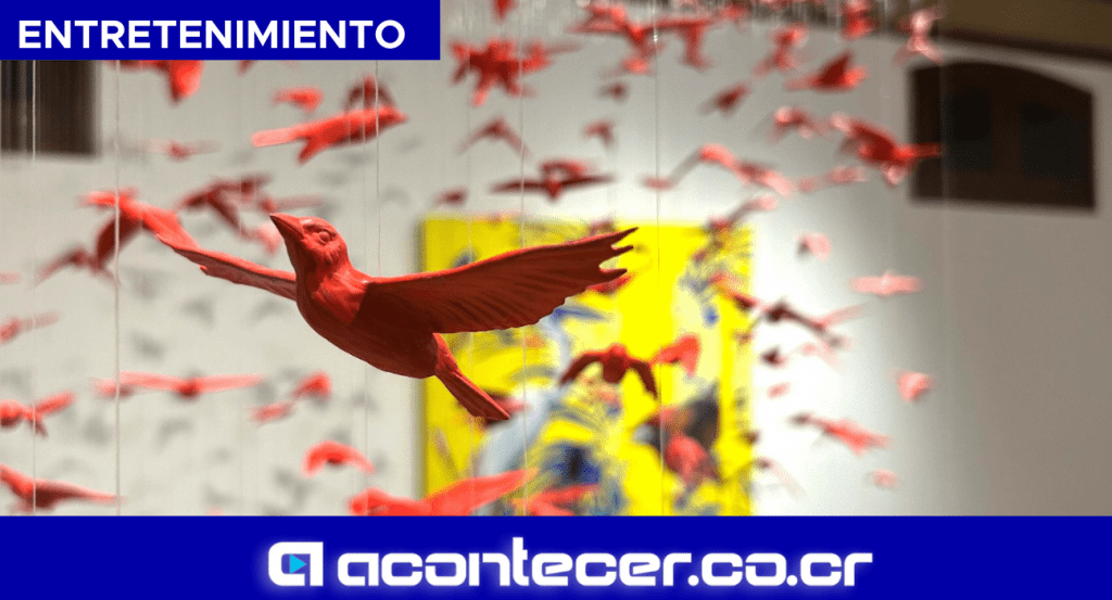 EXPOSICIONES GALERíƒÆ’í‚ÂA NACIONAL