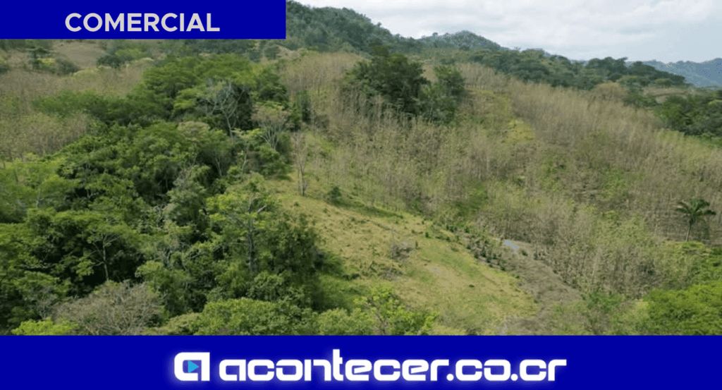 imagen nacionales 2025 03 13T132948.999