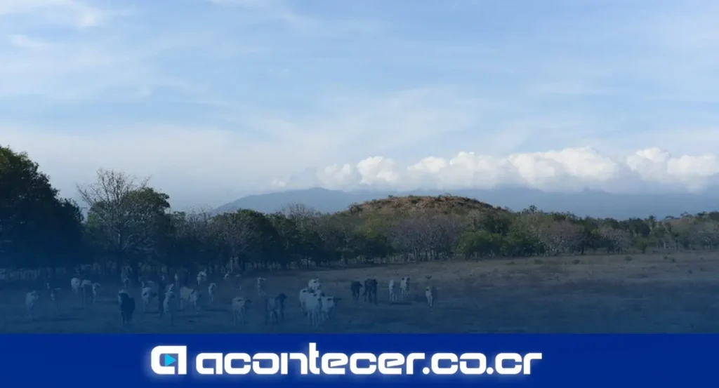 Ricardo Orozco Montoya, climatólogo de la Universidad Nacional de Costa Rica, durante conferencia sobre fenómeno El Niño 2026