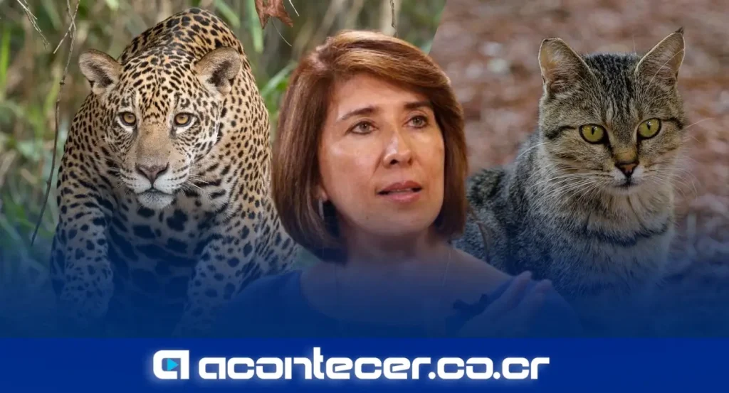 Edna Camacho, economista y asociada de la Academia de Centroamérica, en entrevista exclusiva con Acontecer.co.cr
